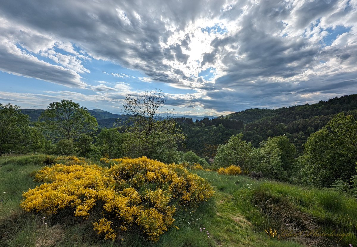 Lovely Sunday Afternoon (Haute-Ardèche, 12/05/24) #LandscapePhotography #ThePhotoHour #StormHour @keeper_of_books #Trees #MagnifiqueFrance youtu.be/TYIl6n_SRCI?si…