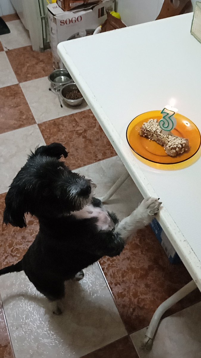 Feliz cumple a la princesa de la casa, la que vino a revolucionar nuestras vidas y llenarla de mucho amor.
3 años de besos, algún que otro mordisco pero sobretodo de felicidad. A por muchos más mi bollito ❤️