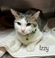 Darling 'Izzy' looks for help from me & you
& so pretty with her collar that is true!
If you are in #MariettaGA adopt this doll
& she is adorable so please heed the call!
Pledges too will help a lot
to resolve this urgent plot! 🙏
URGENT! 
Tag @sachikoko with your pledges kind!