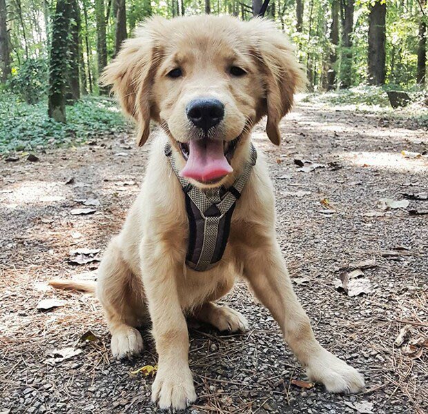 Kayla Chow Show tweet media