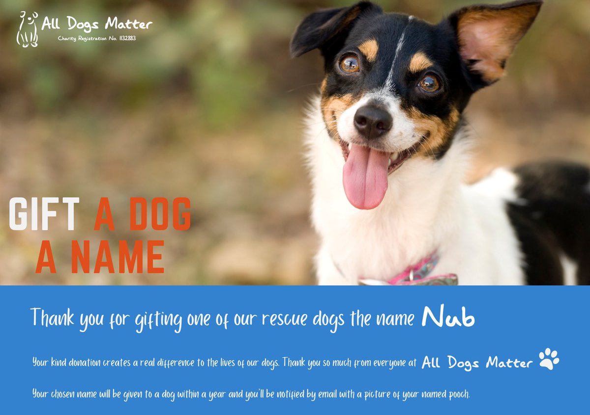 Day 60 of 100! We have just named our 60th rescue dog “NUB”. After the first panda in space @nub 40 More Rescue Dogs to Go! 🐶 #Charity @AllDogsMatter @boden4pres #100dogmission #ForAda #TolysDog $ADA #MemeCoinSeason #meme #memecoin #Defi #SolanaCommunity #SolanaMobie #NUB $NUB