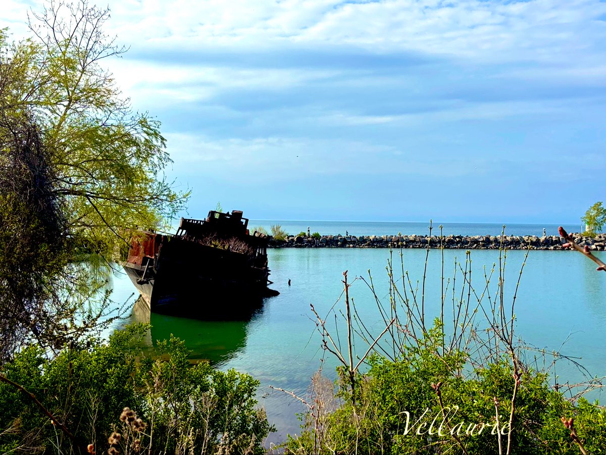 @BraydenCreation Shipwrecked somewhere on Lake Ontario 🇨🇦 #photography