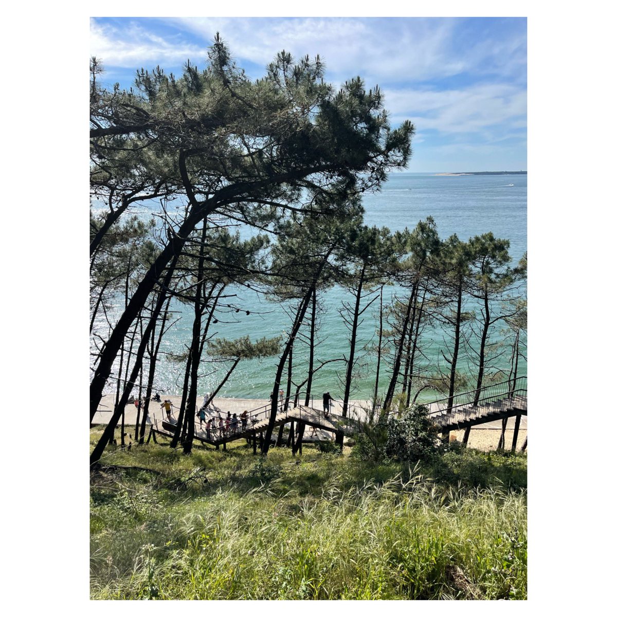 Pyla sur mer 9.5.24 #amazingview #pylasurmer #arcachon #arcachonmaville #igersfrance #igersnouvelleaquitaine #paradise #holidays #wipplay #grainedephotographe #nouvelleaquitaine_focus_on #sudouest_focus_on #sudouest_photographie #lecrakoi #vivrelebassin #bassinaddict