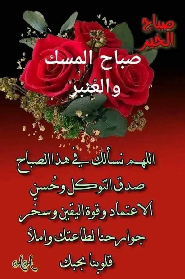صباح الخير للجميع @اني مطلقة عندي شقه ساكنه الحالي عمري 26 سعوديه رقمي واتساب 🇸🇦wa.me/=+966561161004