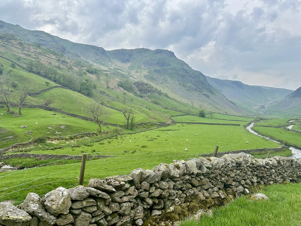 Another trip back to the little hamlet of Sadgill, Longsleddale to complete the Wainwrights there. Shipman Knotts, Kentmere Pike and Harter Fell, descending via Gatescarth Pass #Wainwrights #FarEasternFells #LakeDistrict #Cumbria #LoveWhereYouLive ⛰️🥾🐾💙