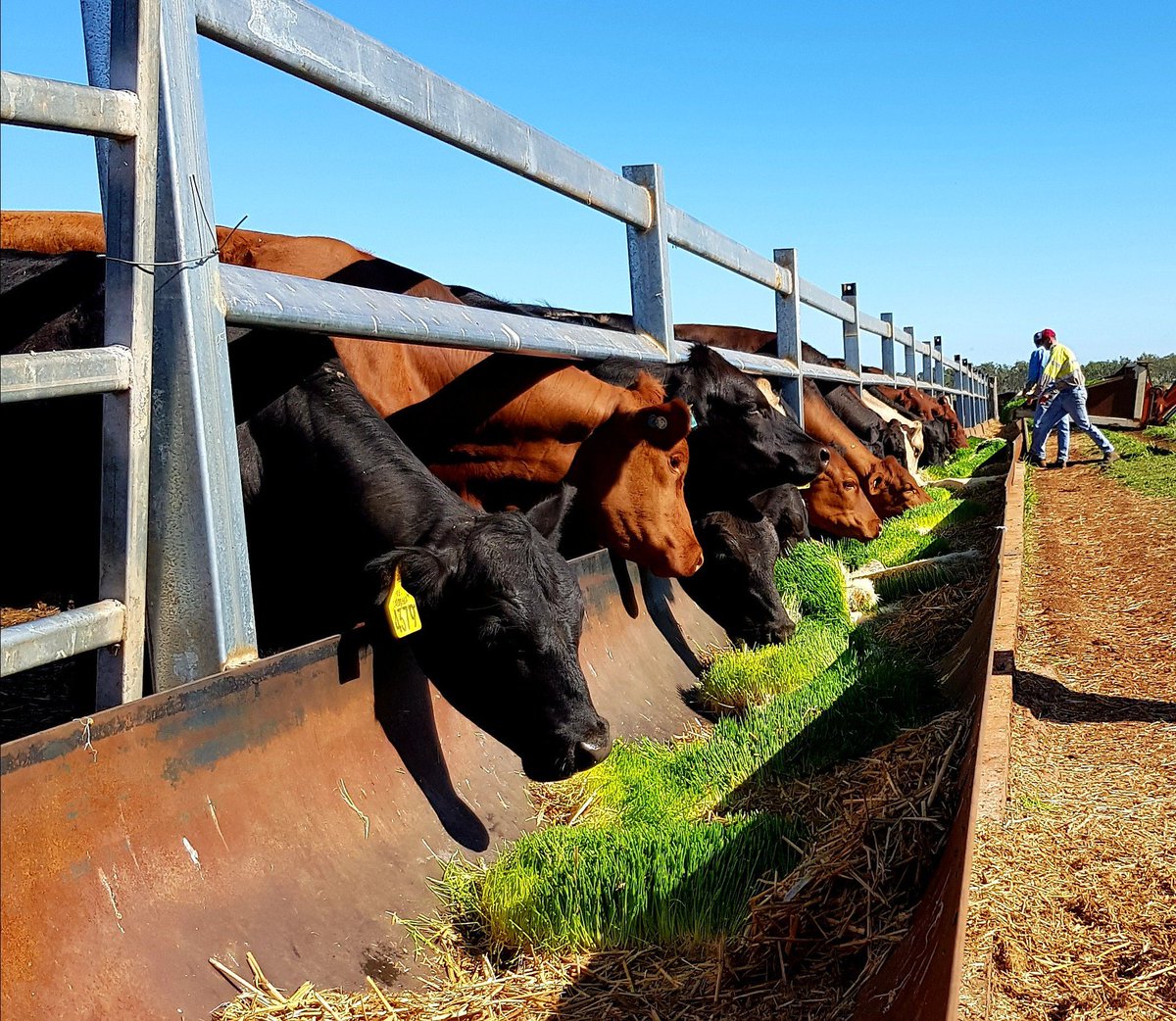 EquiFresh tweet media