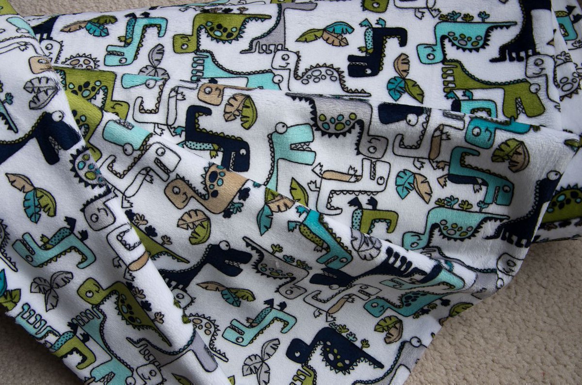 #ROAR #Minky #Fabric #Teal #Dinosaur #Shannonfabrics #Quilting #Sewing #crafting #Quiltback #Animals #babyboy buff.ly/4420eKV