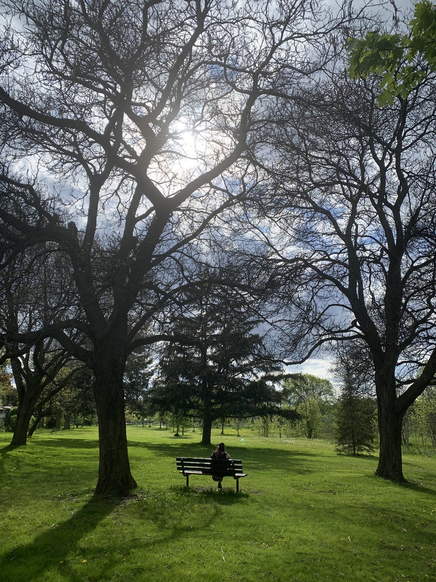 Just outside Richview <a href="/torontolibrary/">Toronto Public Library</a>, reading in #Etobicoke’s Silver Creek Park.