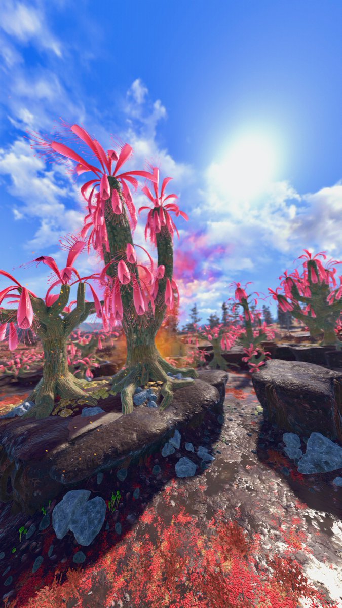 HowieVP's tweet photo. It’s been tooooooo long since I’ve posted a shot for #SundewSunday 🌸
Hosted by - @SleepisforT
#Fallout76 #PS5Share #VirtualPhotography https://t.co/utUFUD3nCa