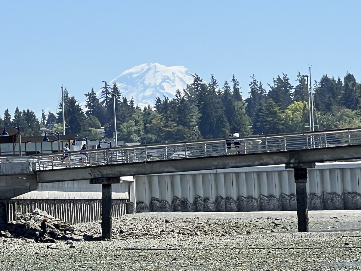 It was almost low tide when I arrived at the marina and since we’re close to summer solstice, it’s getting real low (-1.43!). That means lots of beachfront and critters! Oh, and a peak-a-boo surprise at the end!! 🏔️💗