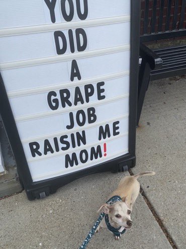 I took Lights for a walk and was checking my phone, I looked up + she'd stopped in front of this sign to stare at me like, 'You did a very good job raising me. I just can't tell you because I am dog, so pls read this pun sign.' So happy Mothers Day to dog moms too she's right.😭