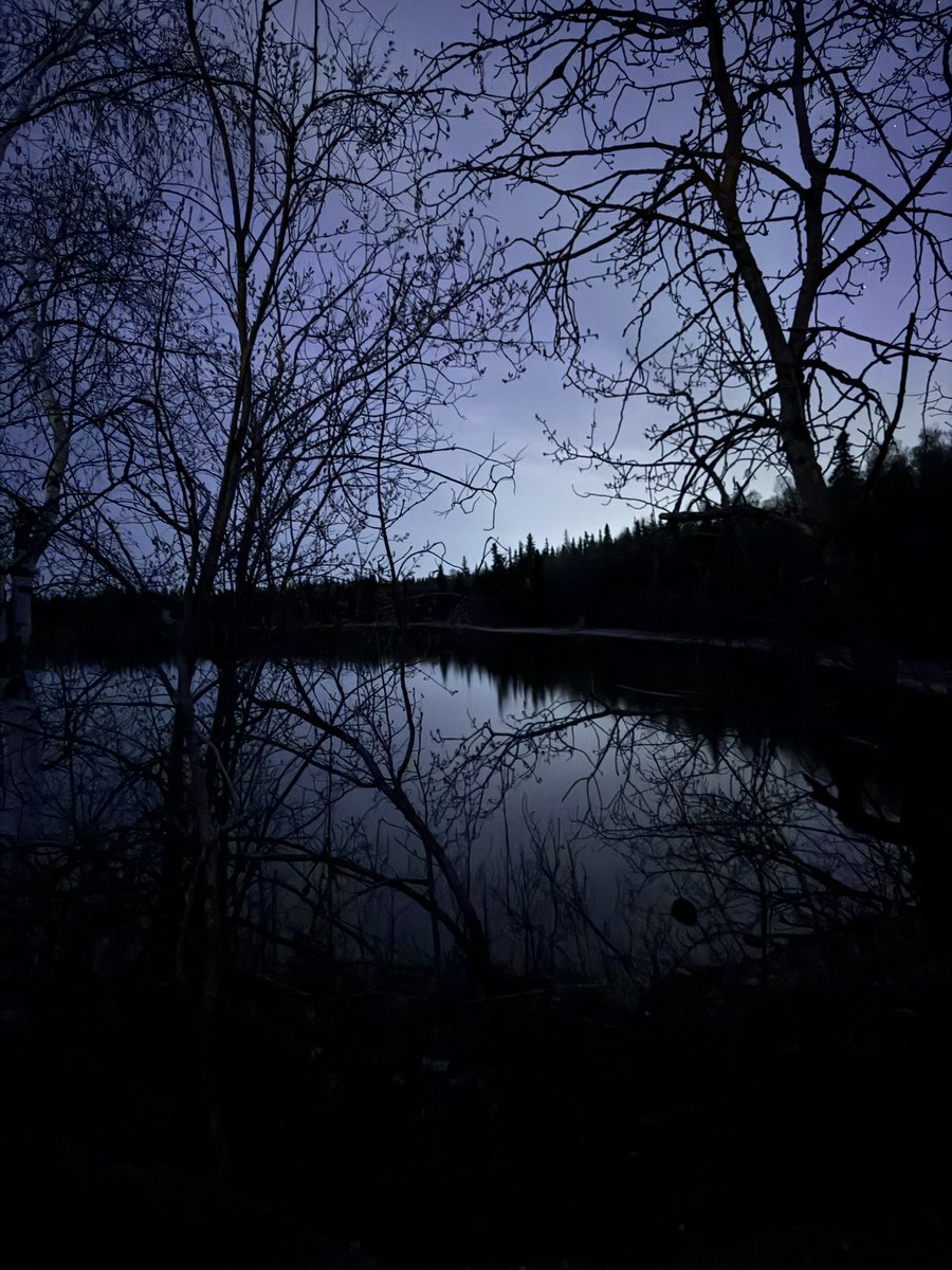 Late night walk out at the lake. When the mind is busy, nature is my reset. #NightTime #Outdoors #Scenic #Solitude #Nature_Lover #Reflection #Nature_Brilliance #Nature_Perfection