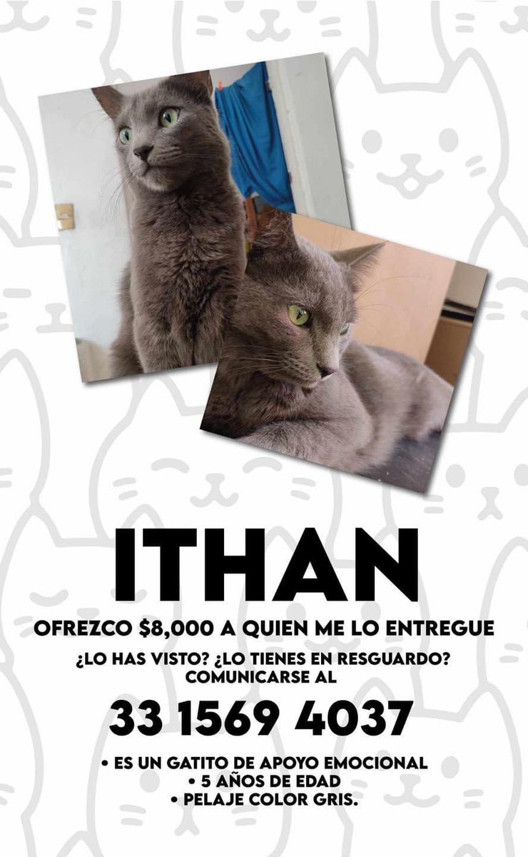 adoptagdl's tweet photo. #Extraviado #RT x fa! https://t.co/OnGZKGkhxI