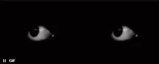 Dzralex3's tweet photo. @solanatimer those eyes are on the banner https://t.co/xfalgif1Zl