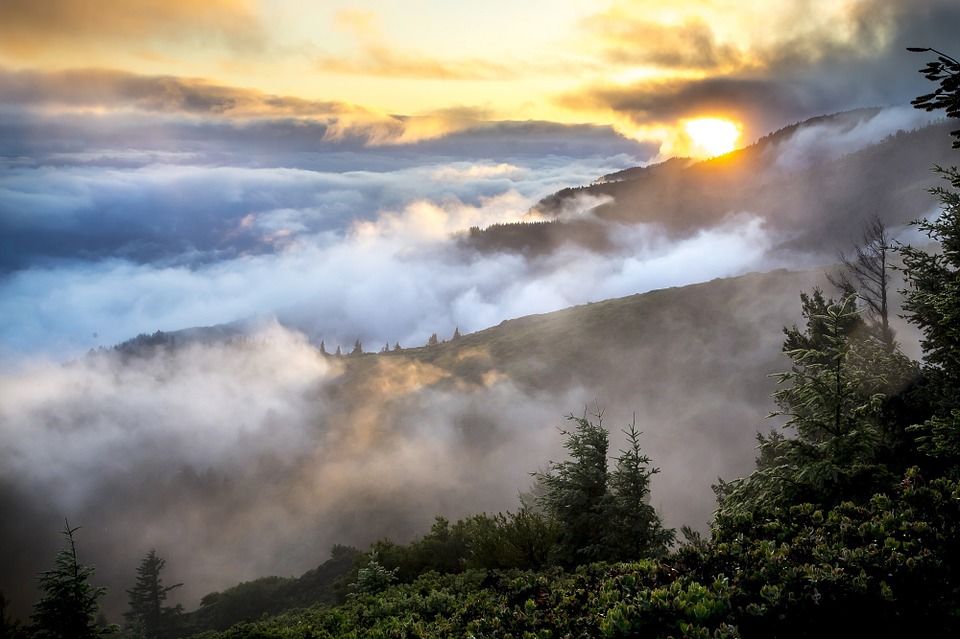 You can't reach the top of the mountain just by looking at it. You have to take steps. #ThoughtForTheDay #quotes #life #quote #ThinkBIGSundayWithMarsha