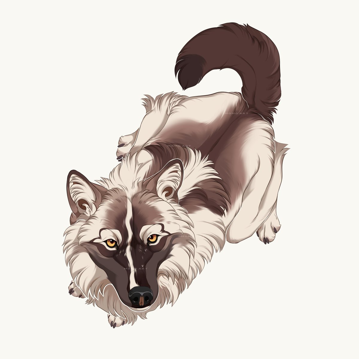 M0M0Art_'s tweet image. ◇Moro◇
This is my new Moorish boy, I have wanted a very striking yet simple wolf for a long time, what do you think?
