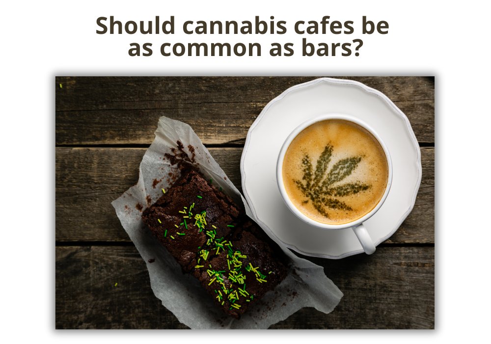 CannabisTrainU's tweet photo. Cannabis cafes have emerged in areas where recreational marijuana has been legalized, serving not only as places for consumption but also as community hubs for cannabis enthusiasts. https://t.co/RaNw7MQm9i