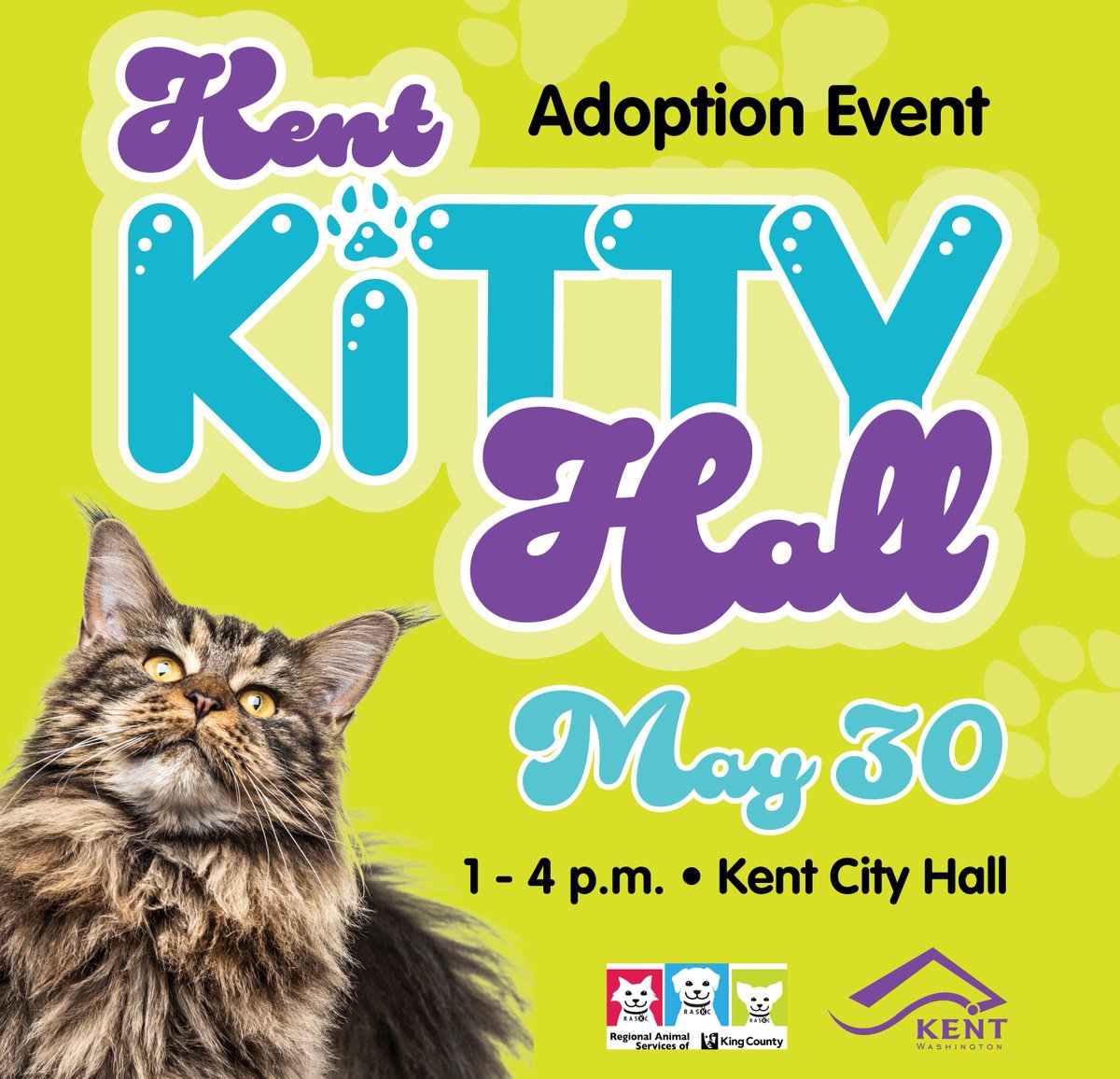 We are making Kent City Hall, Kent Kitty Hall! It's where all the cuddliest, cutest adoptable kittens and cats will be available for adoption thanks to RASKC! This is a purr-fect time, to find your furever friend! 📅 Thursday, May 30 ⌚ 1 p.m. - 4 p.m. 📍 Kent City Hall