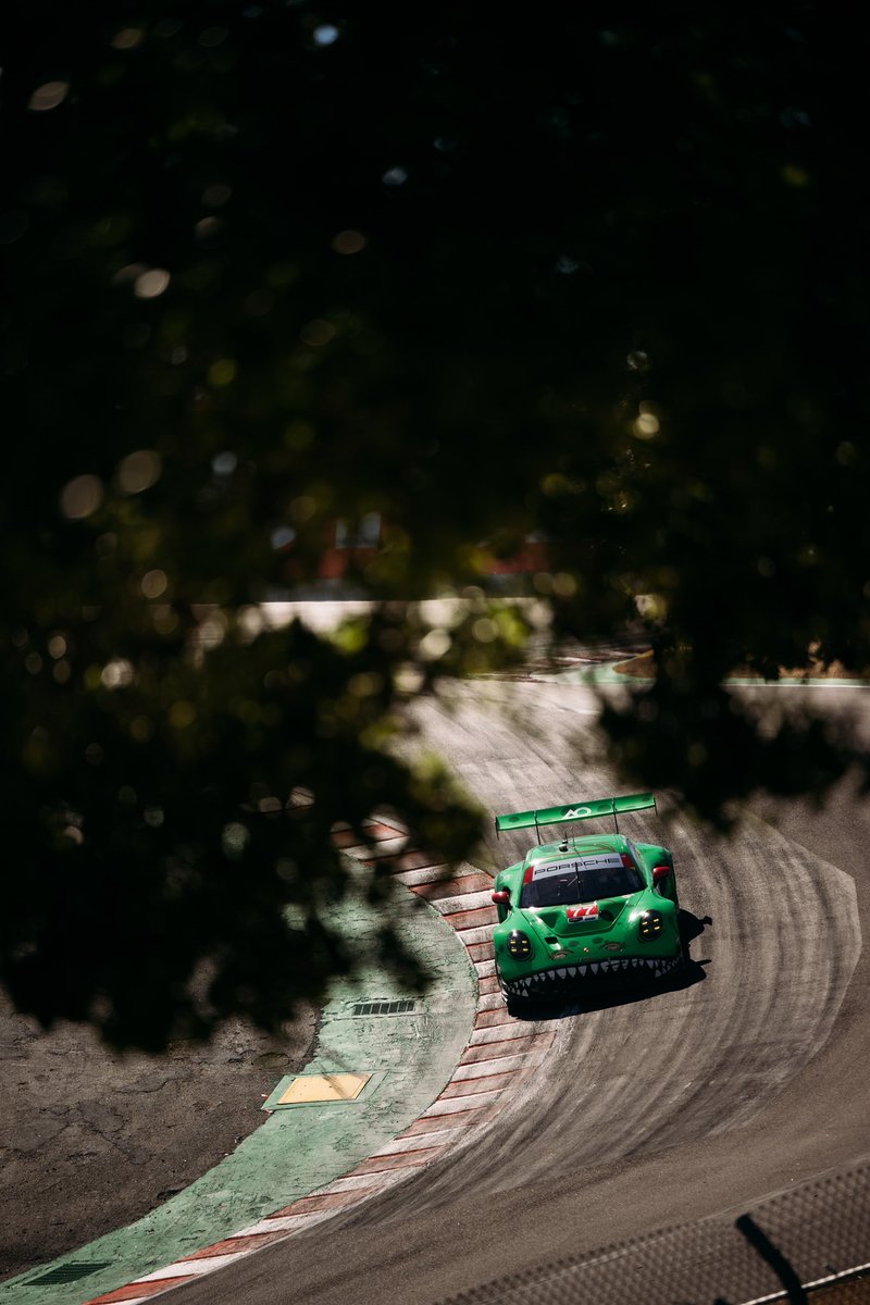 AO Racing 🦖 tweet media