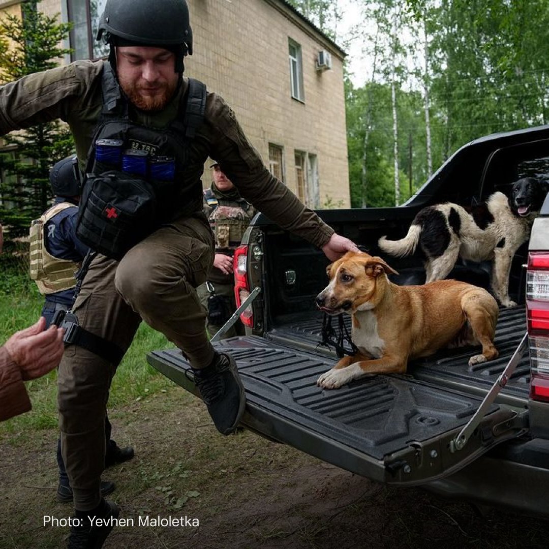 More than 4,500 residents have already been evacuated from border settlements in the Kharkiv region. Photojournalist Evgeniy Maloletka has published photos of the evacuation of Vovchansk residents.