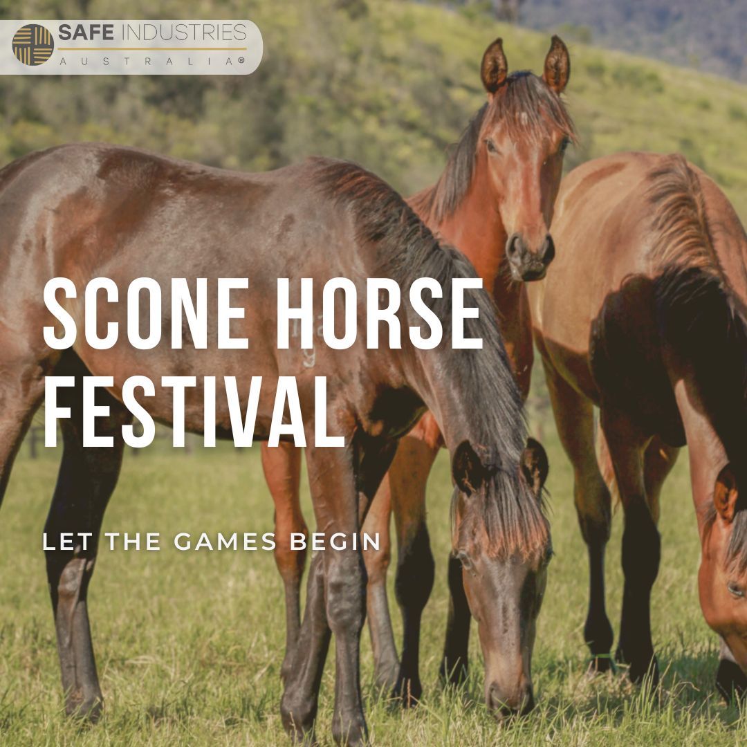 Scone NSW is kicking off its Horse Festivities this week leading up to the Scone Cup, The Scone Horse Festival is a great community event in Scone! The Horse Parade gets better every year. Let the Games Begin!

#SconeHorseFestival #letthegamesbegin #workhealthsafety