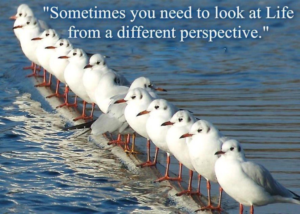 Take a look at things from another perspective 👁️ 👁️ 

🗣️ 

Come and join Sara tomorrow at 9am for a look at this week's #WordOfTheWeek 'perspective' and how we can link it to #InclusionAndDiversity. #TorlandsTaster