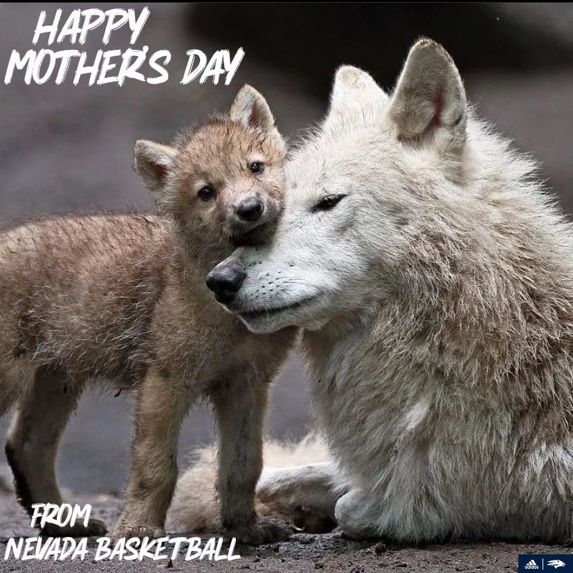 Happy Mother’s Day to all the incredible Pack moms out there 💙🐺 #BattleBorn | #PackParty