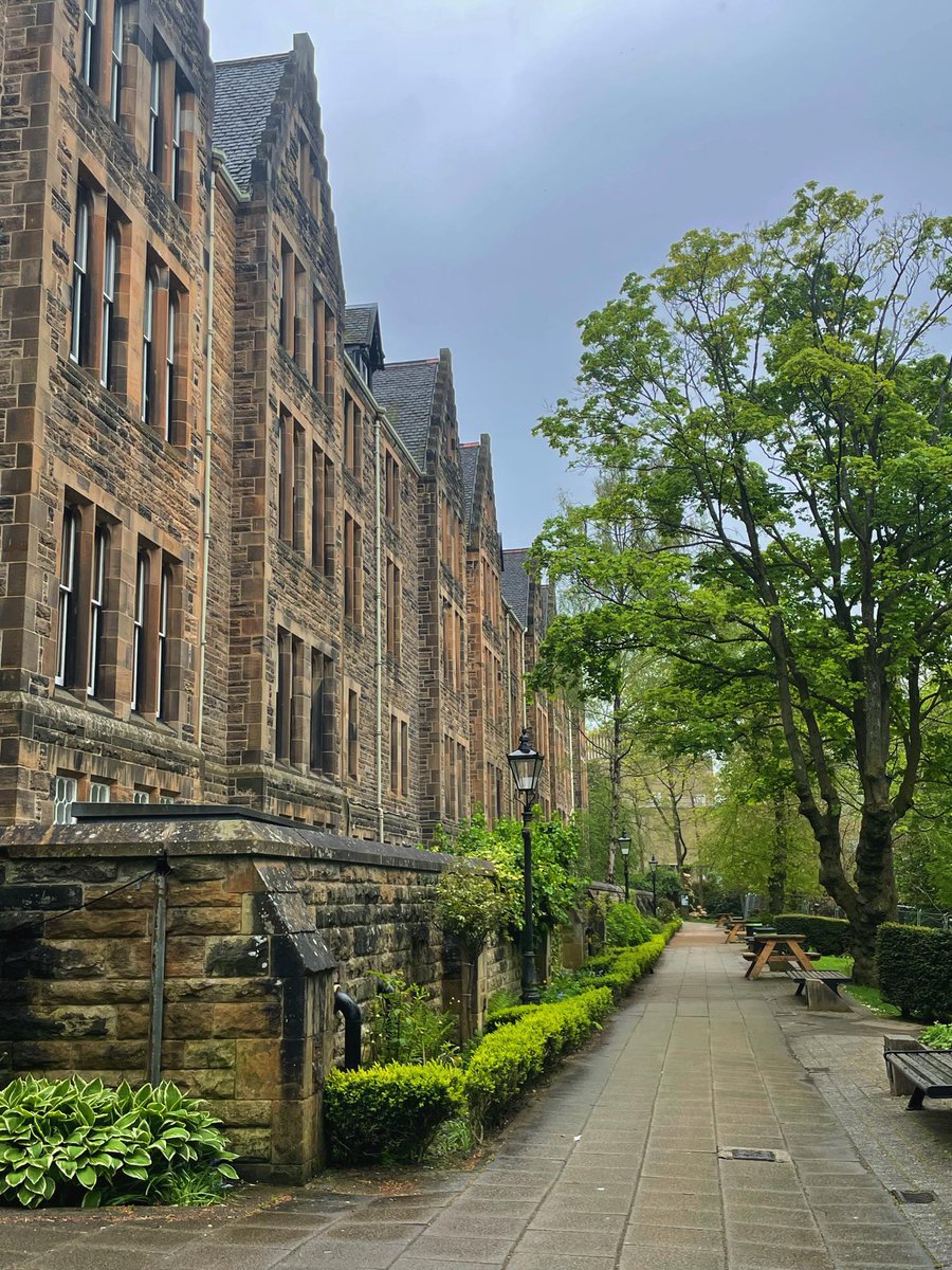 Monday, Monday... at <a href="/UofGlasgow/">University of Glasgow</a> before the humidity hit! 🌧🌳