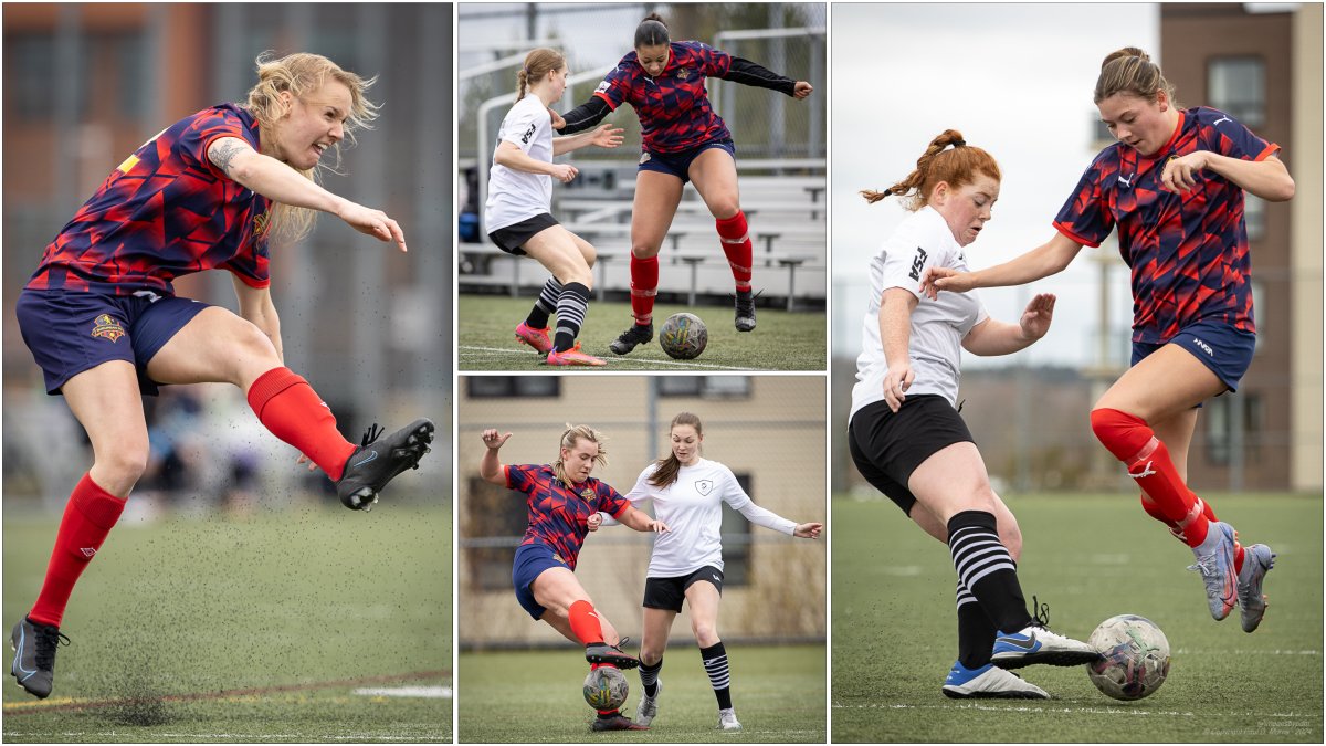 Paul Morris tweet media