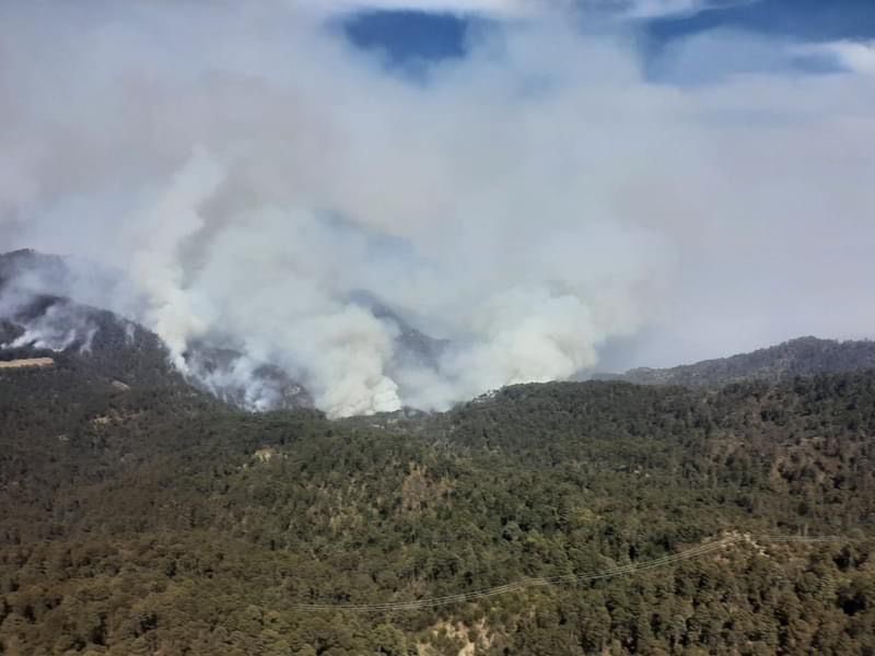 Información importante | Combaten fuerte incendio forestal en San Dimas

Este domingo se dio a conocer que en las últimas horas se ha trabajado de manera coordinada, entre los tres órdenes de Gobierno, para combatir un incendio forestal registrado en el municipio de SanDimas.

El