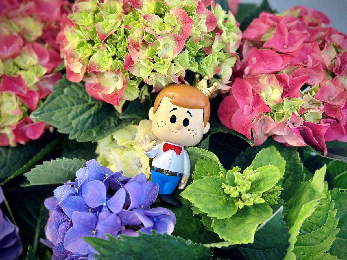 Happy Mother’s Day #FunkoFamily! Wishing you all a loving & joyful weekend with your mothers on this lovely weekend 😁👑💐 #happymothersday #fun #FunkoSoda #Funko #Mom #Mother #Family #FunkoFunatic #FOTM @originalfunko