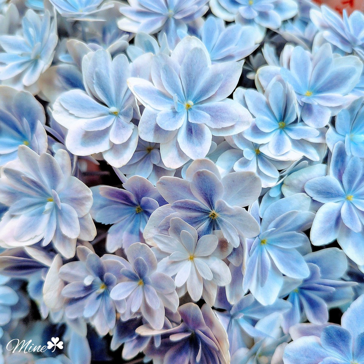 Believe in yourself. 
𓆸𓏸𓂂𓂂𓏸𓍯𓂂𓂂𓇬𓈒𓂂𓏸𓇠𓇬𓈒𓂂𓂂𓏸𓍯