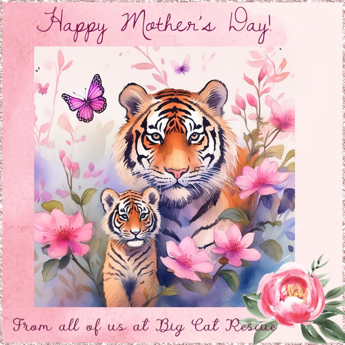 🌸 𝐇𝐚𝐩𝐩𝐲 𝐌𝐨𝐭𝐡𝐞𝐫'𝐬 𝐃𝐚𝐲 to all the incredible moms out there in every corner of the world! Today, we celebrate your strength, compassion, and unconditional devotion. Thank you for all that you do. 💖 #MothersDay #BigCatRescue #MothersLove #Love #Mom #CaroleBaskin