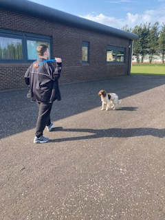 FORR_ESB's tweet image. We always enjoy and look forward to seeing Archie! 🐕@forresterhs @CEC_EPS