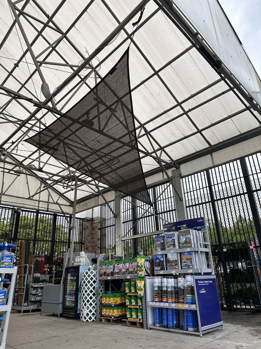 mike cognazzo tweet media