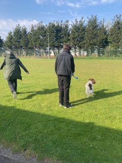FORR_ESB's tweet image. We always enjoy and look forward to seeing Archie! 🐕@forresterhs @CEC_EPS