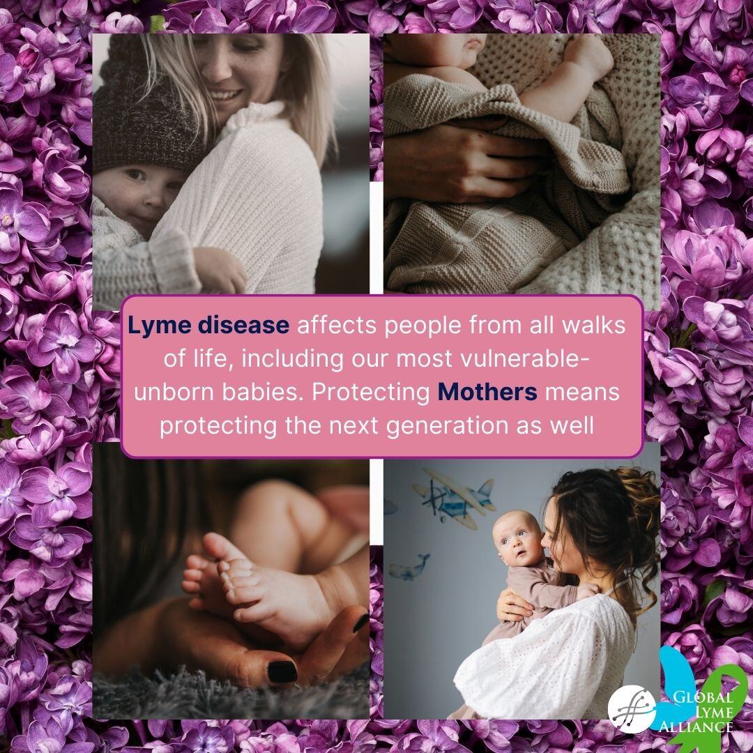 Protecting mothers means protecting the next generation. Lyme disease during pregnancy can pose serious risks, not just to expecting mothers but also to their unborn children. 🌿 Read 'Lyme Disease During Pregnancy: Protecting Mothers and Babies' 👉 hubs.la/Q02wRjGy0