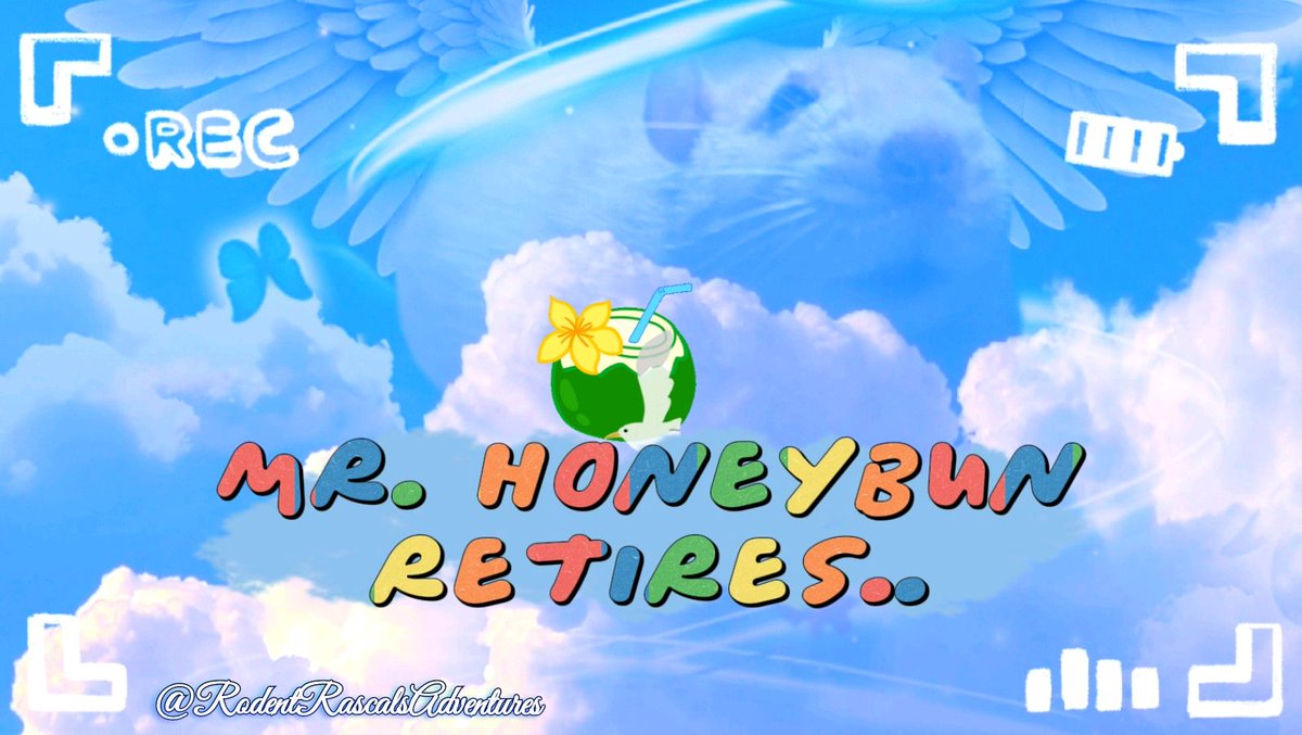 🆕️♾️🐁 #Retirement 🎉🪽 Mr. HoneyBun asks that YOU join him on our YouTube Channel for one FINAL Adventure from the clouds ⛅️ above ... #petrat #cuterat #ratlove #SundayPrayers #ratlife #afterlife #petloss #petlovers #ratlover ❤️🐹🐽🐀💻⬇️ #RodentRascalsAdventures
