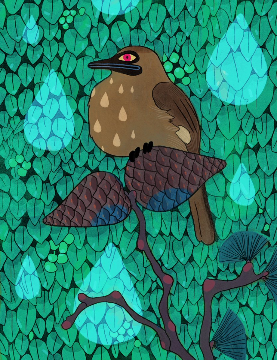 The bird I saw today. 
proudly sitting on a dead pine tree, 
watching the rain and the flutter of the leaves