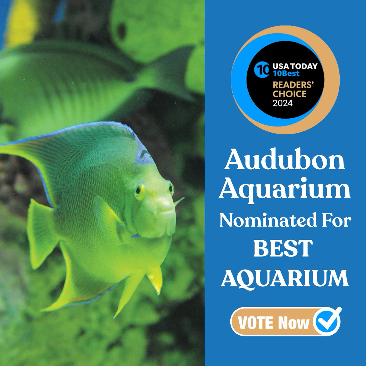 Help us claim a top spot in @10Best Readers' Choice Awards! Audubon Aquarium has once again been nominated in the Best Aquarium category and we need your help. Vote once daily through May 13th. VOTE HERE (takes one click): bit.ly/4d7biMw