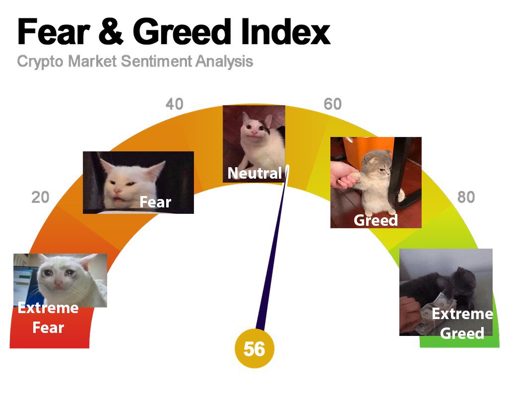 Cointelegraph's tweet image. Fear and greed index, but cats - which one are you? 👀