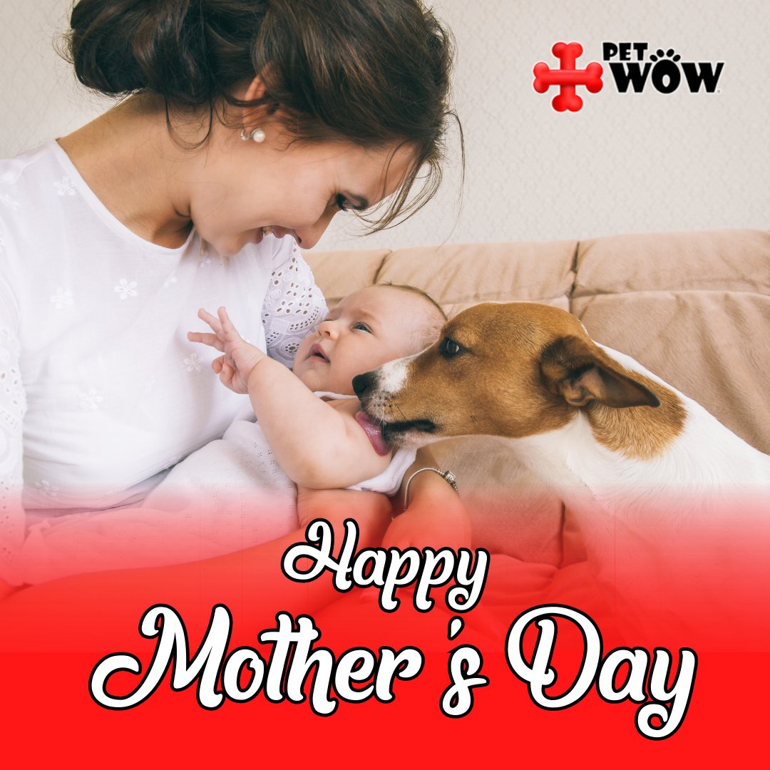 Don't forget to wish #PetMoms a happy Mother's Day, too! #HappyMothersDay #petparents