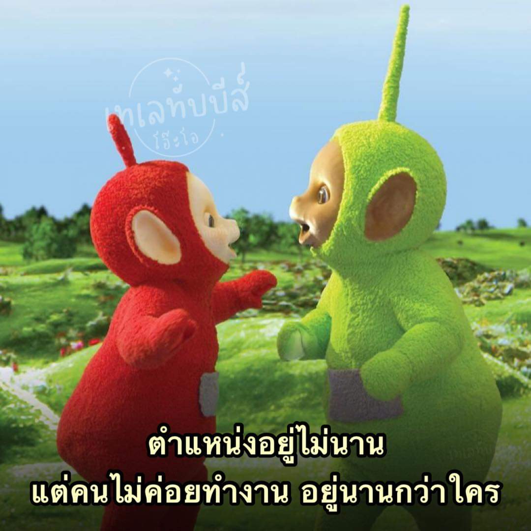 ชลน แมวส้มแท้ๆ 🐱 tweet media
