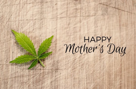 PLegalization's tweet photo. Happy Mother’s Day to all the Moms out there!  #cannamoms #MotherDay https://t.co/6iVUXB1oIT