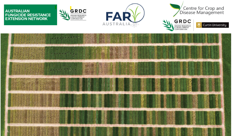 Calling all growers and agronomists. Join Nick Poole from FAR Australia for a workshop hosted by The Australian Fungicide Resistance Extension Network #afren The workshops will be held in VIC, NSW and SA. For more information or to register, click here: faraustralia.com.au/newsletter/afr…