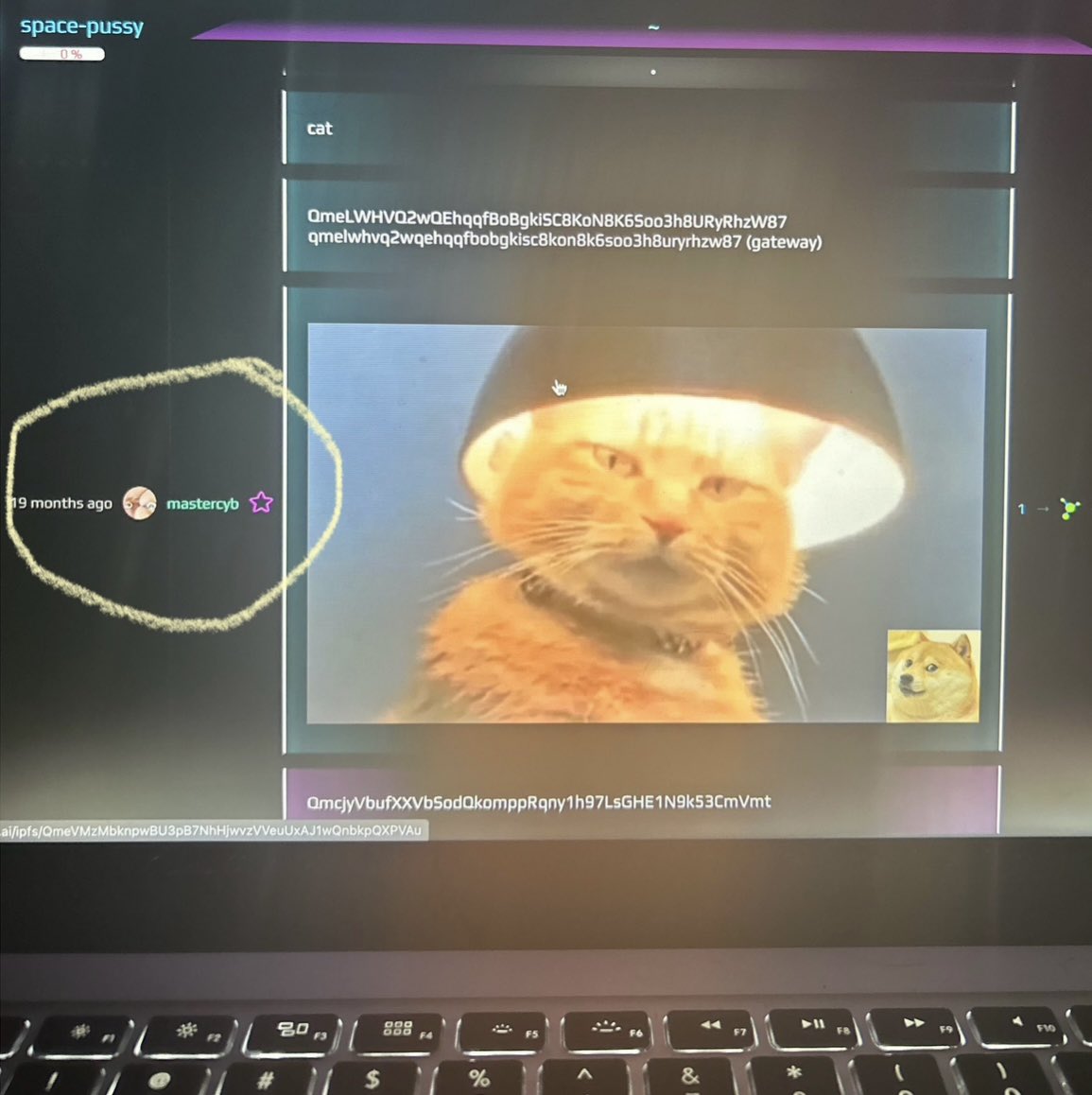 Deep research into Space-Pussy 🟣

What is the #meme about?  Vag?

The clue was revealed in a “Cyber-Link”19 months ago on spacepussy.ai 

@cyber_devs $BOOT $CTXC $TAO #spacepussy