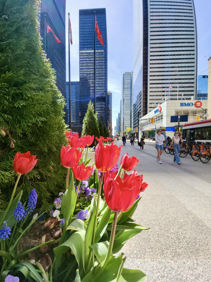 Happy Mother’s Day! 💐🌷❤️
#downtowntoronto #torontolife #mothersday