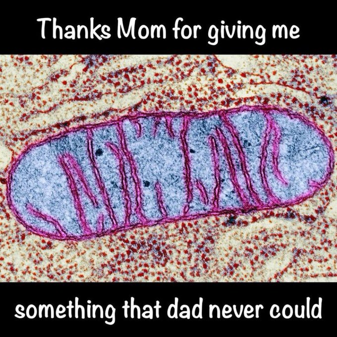 This is fantastic!!  ❤️#mitochondria