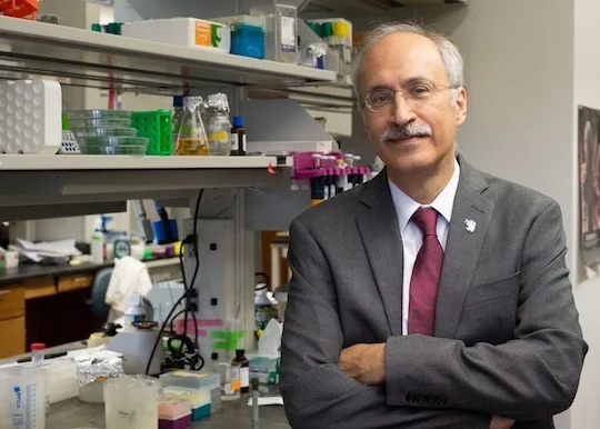 Rice University bioscientist Yousif Shamoo has been elected a fellow of the American Association for the Advancement of Science, the world’s largest general scientific society and publisher of the journal Science. bit.ly/44BKHTX