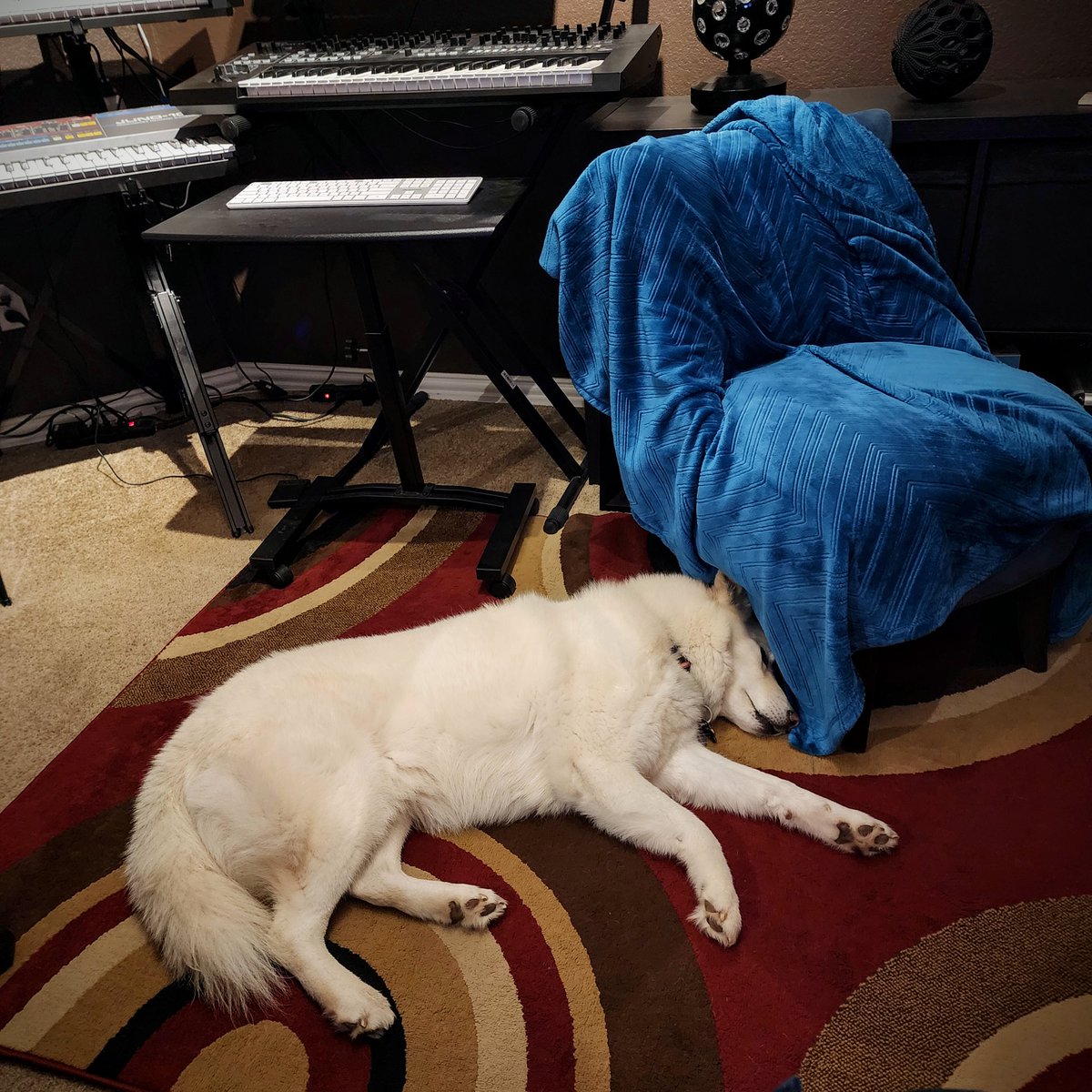 Casper chilling in the studio...